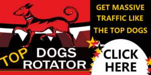 Read more about the article TopDogsRotator